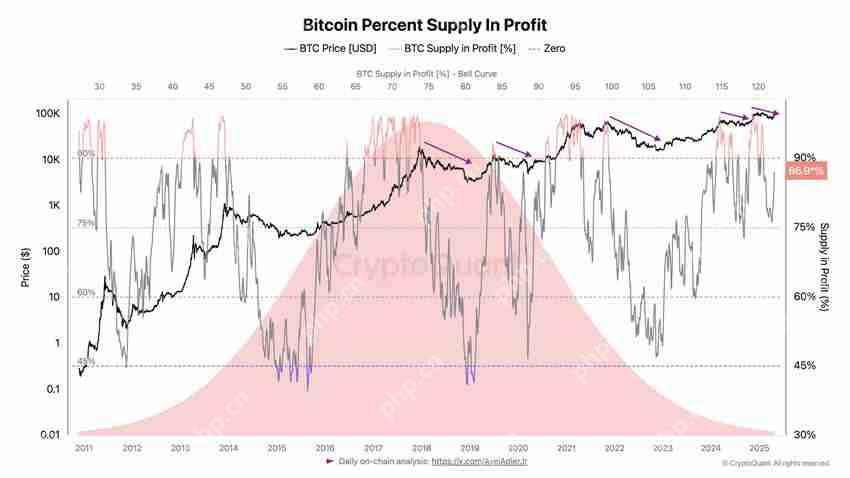 比特币(BTC)供应指标接近90%，分析师：目标价11.5万美元